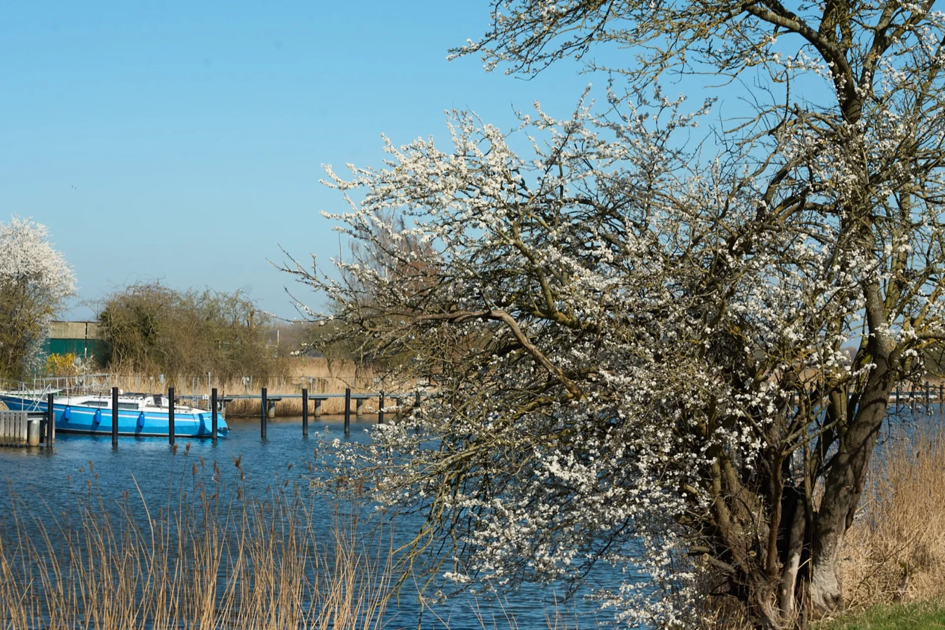 Ryck-Promenade im Hafenquartier Greifswald – Lage des Speicher 7